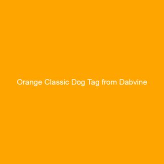 Orange Classic Dog Tag from Dabvine