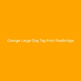 Orange Large Dog Tag from Realbridge